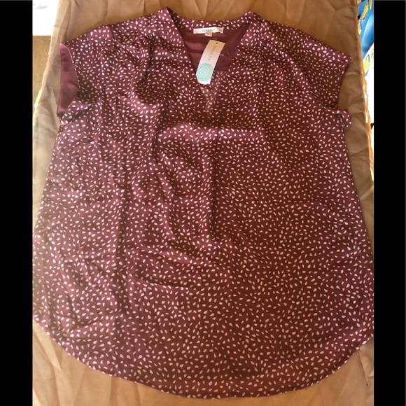 Women’s Summer Outfit - Picture 4 of 4